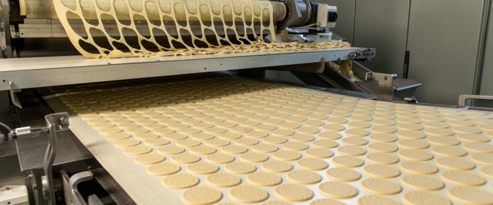 Food Grade Conveyor Belt Manufacturers in Pune - Elcon Elastomers